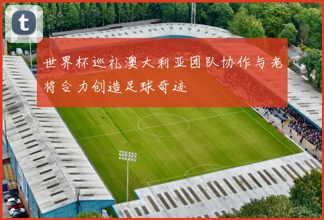 世界杯巡礼澳大利亚团队协作与老将合力创造足球奇迹