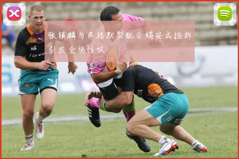 张镇麟与弗格默契配合锡安式挡拆引发全场惊叹